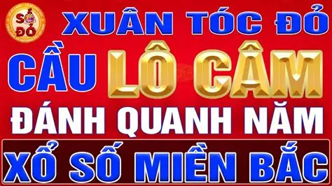 Xổ Số Xuân Tóc Đỏ: Cập Nhật Kết Quả, Soi Cầu Và Hướng Dẫn Chi Tiết